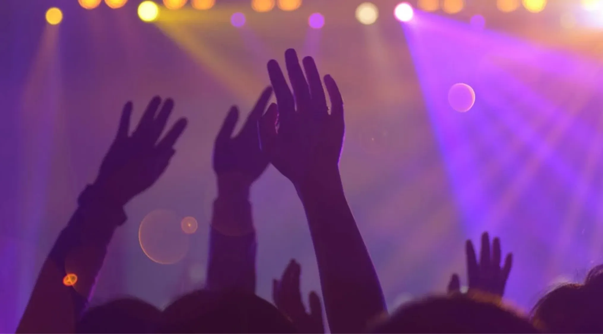 Silhouettes of raised hands in a crowd with vibrant purple and yellow lights, evoking 70s pop culture music genres.