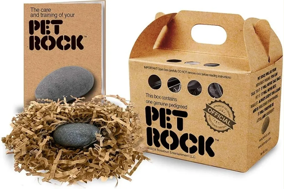 Pet Rock toy in original packaging with care guide and shredded paper nest, classic novelty from the 1970s.