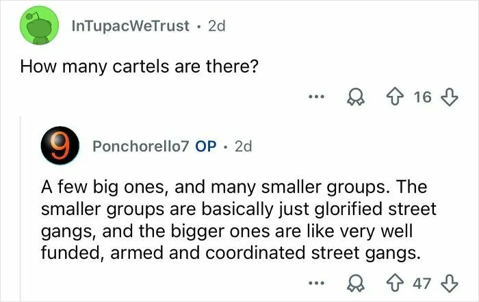 Local Shares What Daily Life Really Looks Like Amid Mexico’s Cartel Violence (Q&A)