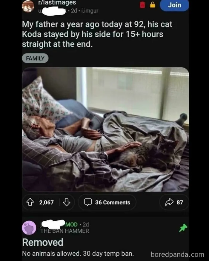 Reddit Moment