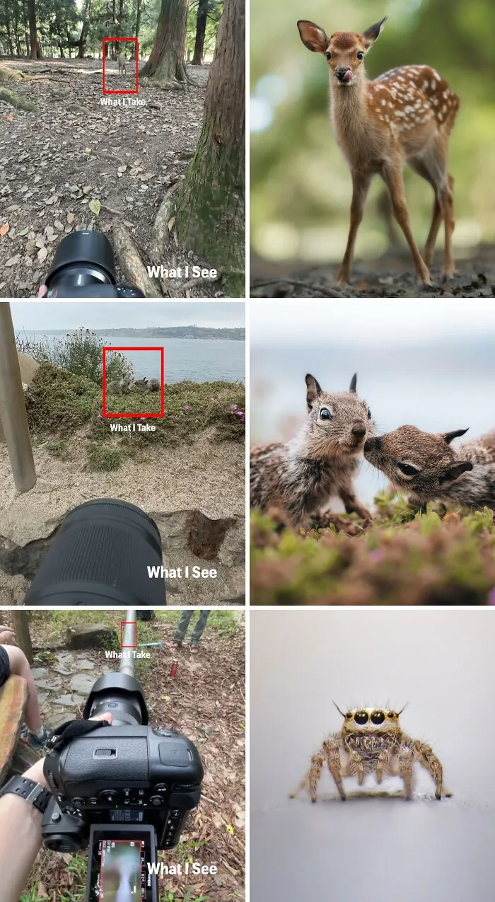 Photographer Cam Whitnall Shows Photos "What I See vs. What I Take"