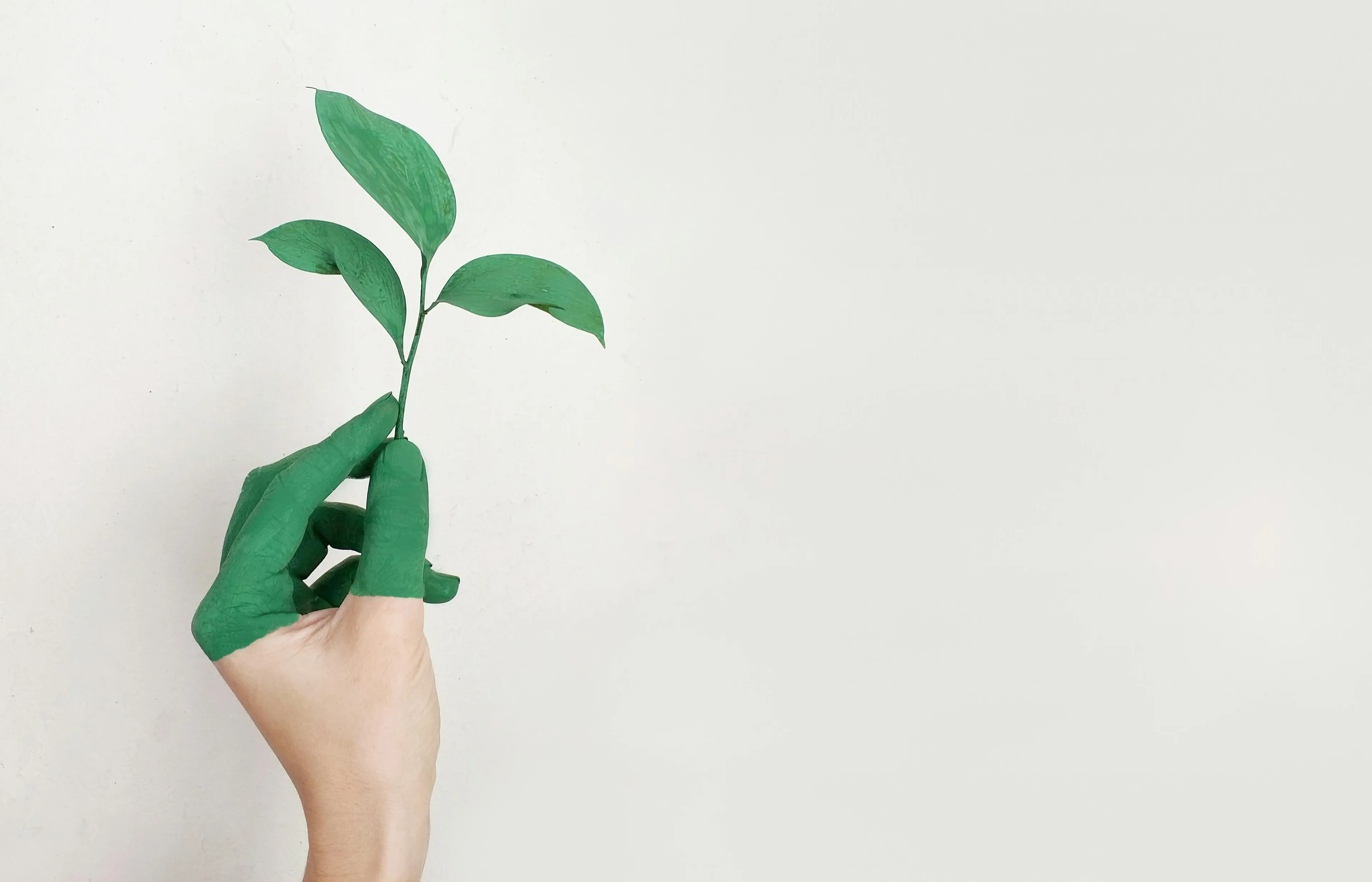 Hand holding a small plant with painted green fingers, illustrating a GCSE Combined Science quiz about plant cells.