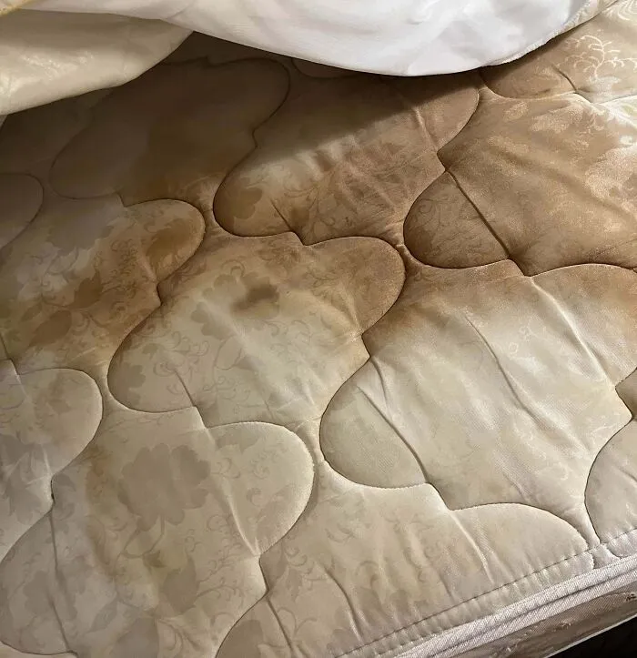 Dormí en esta cama dos noches antes de sentir curiosidad y levantar las sábanas y mirad lo que encontré.