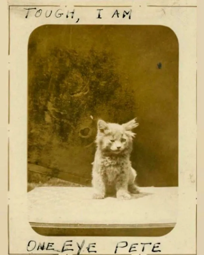 “Tough, I Am” - One Eye Pete, CA 1890