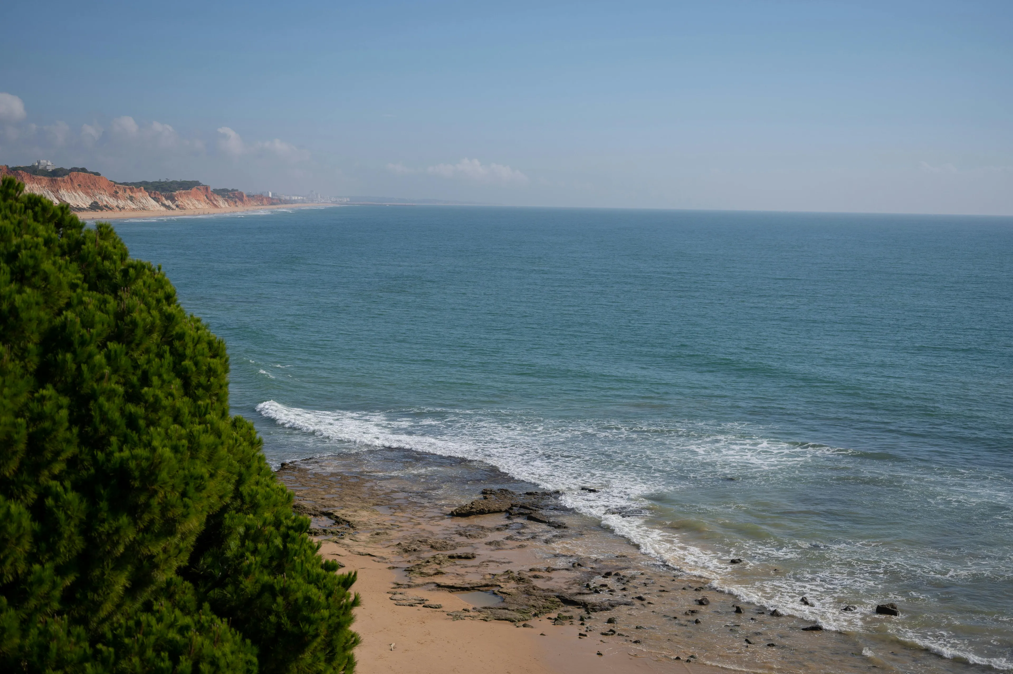 Coastline view with green trees and blue ocean waves, illustrating the country with the longest coastline in the world.
