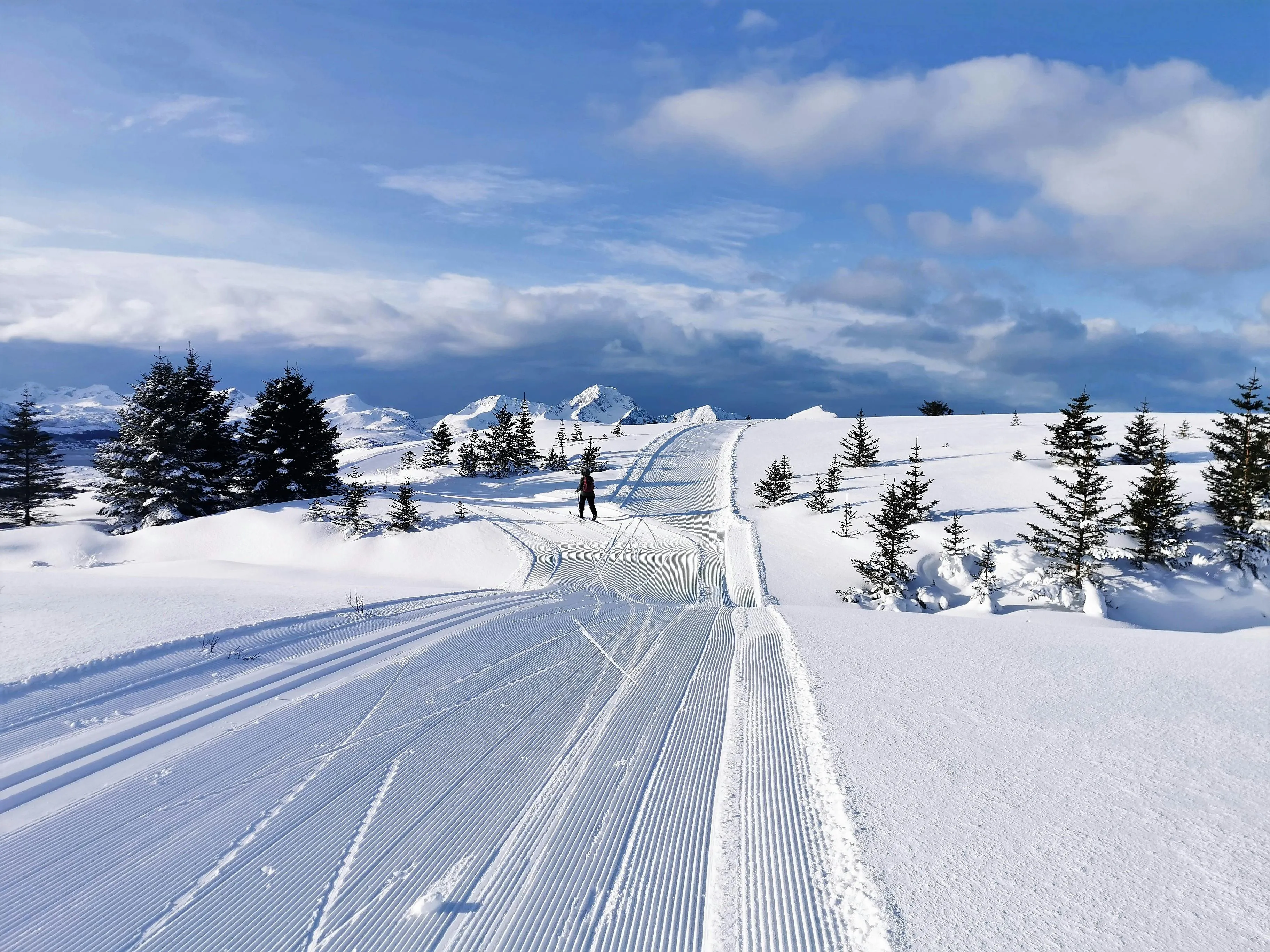 Skier on a groomed snowy trail in a Nordic country with pine trees and mountains under a blue sky.