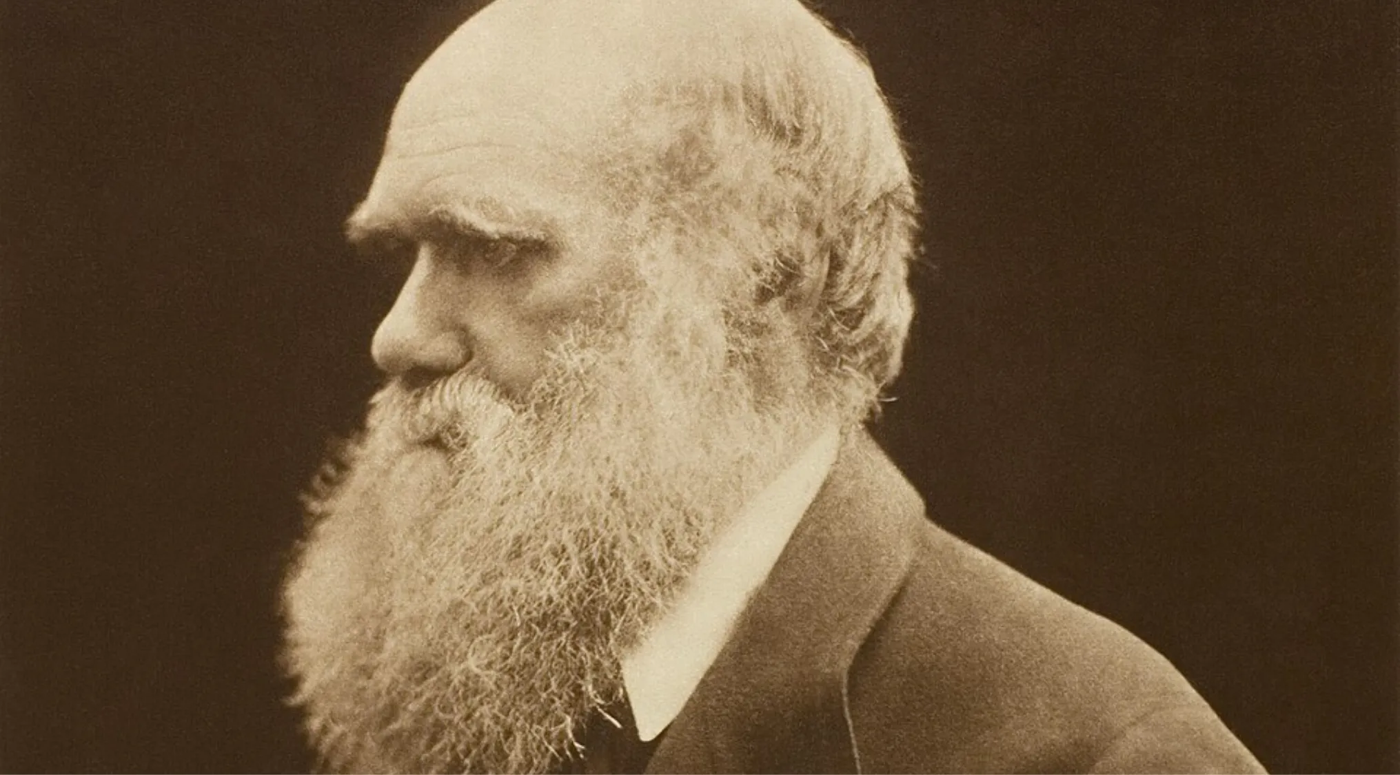 Portrait of Charles Darwin with a long beard representing the difficult general knowledge quiz on islands he visited.