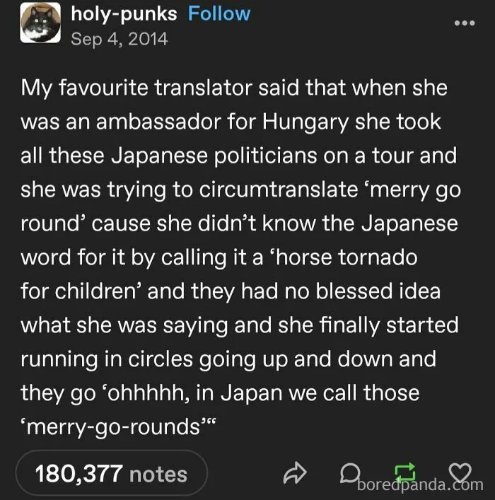 Tumblr post humorously describing a mistranslation involving merry-go-rounds and cultural language differences.