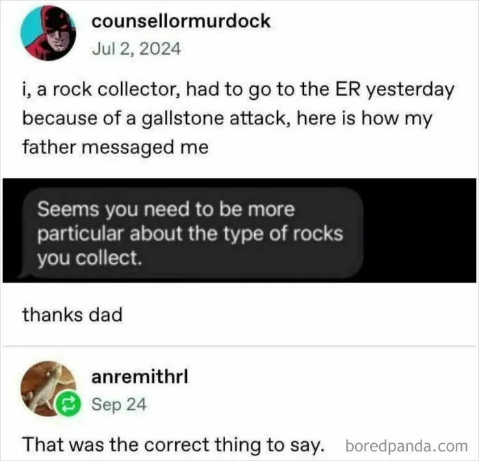 Tumblr posts showing humorous and unexpected messages about rock collecting and gallstone attacks.