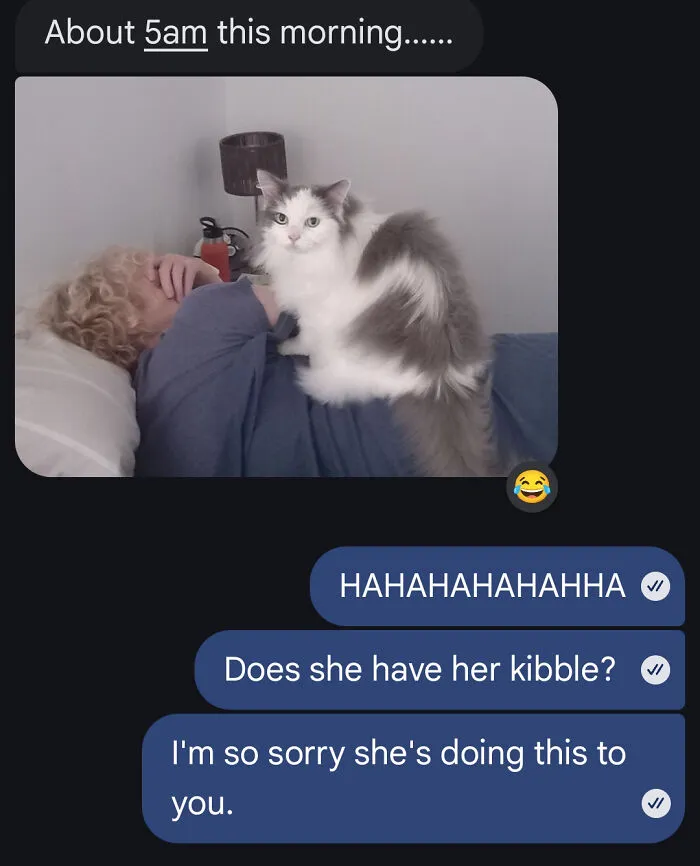 My Catsitter Sent Me This