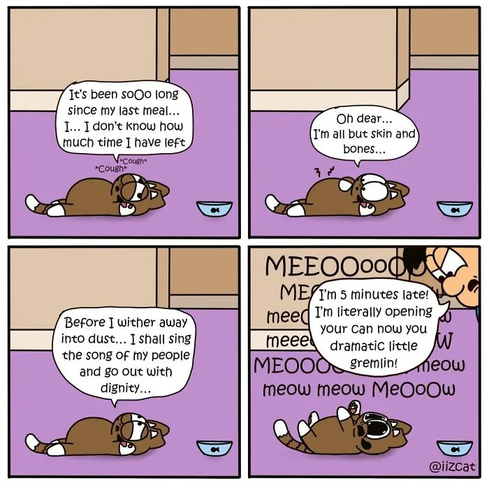 This Cartoonist Turns Everyday Cat Nonsense Into Hilarious Comics (29 New Comics)