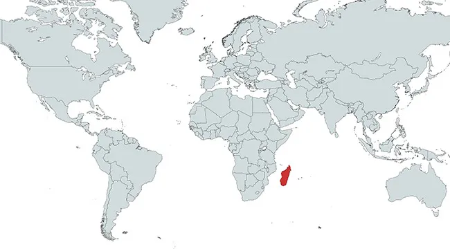 Map highlighting the country marked in red, located off the southeastern coast of Africa, focusing on which country is marked.