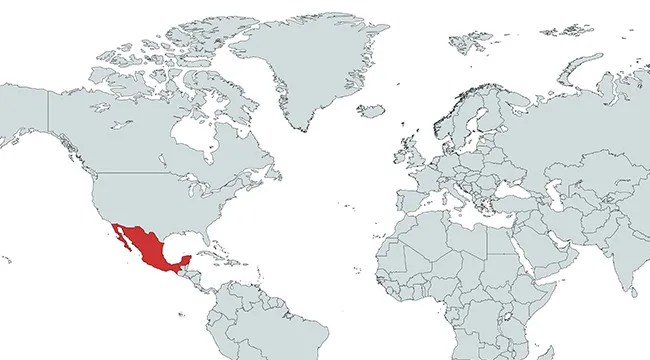 World map with a country marked in red, highlighting the location for guessing which country is marked on the map.