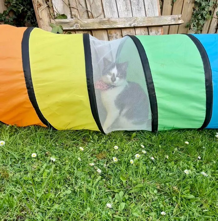 Absolutely Refused To Get Out So My Kid Could Play In There. P.S Not Even My Cat!