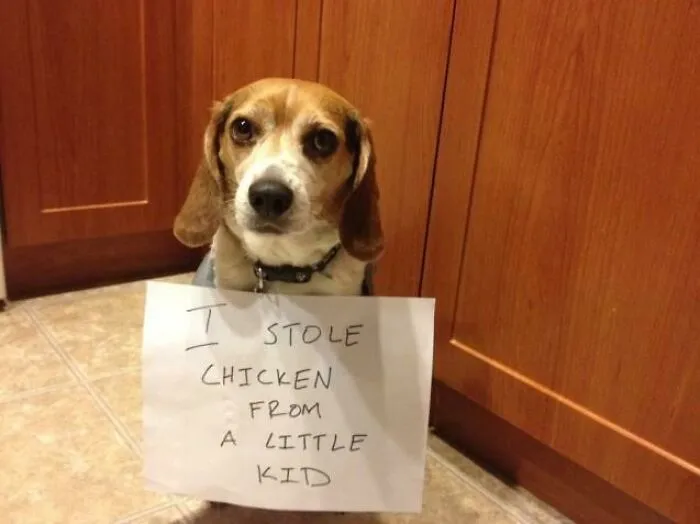 For Shame