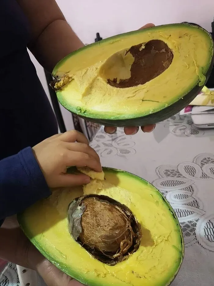 Avocado