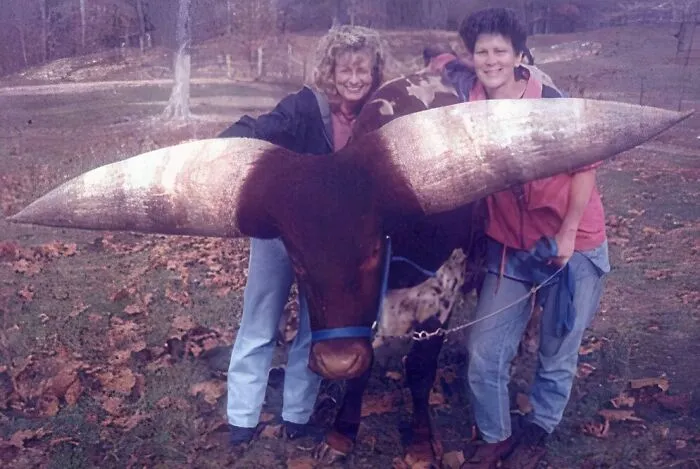 These Horns