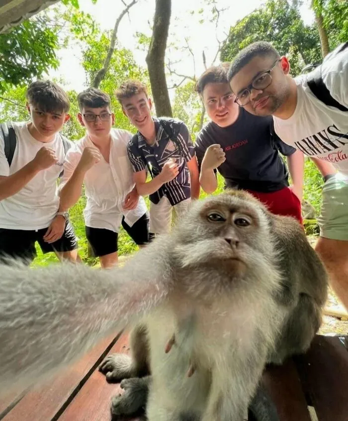 These 60 Animal Pics Are The Mood Boost We All Needed Today