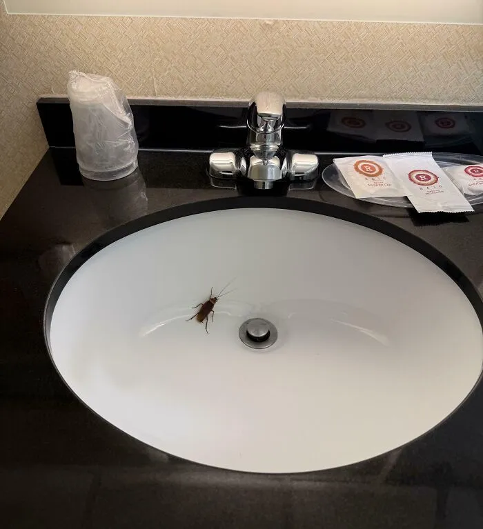 Me encontré con esto al registrarme en mi habitación de hotel