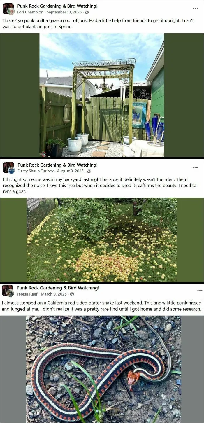 Punk Rock Gardening & Bird Watching