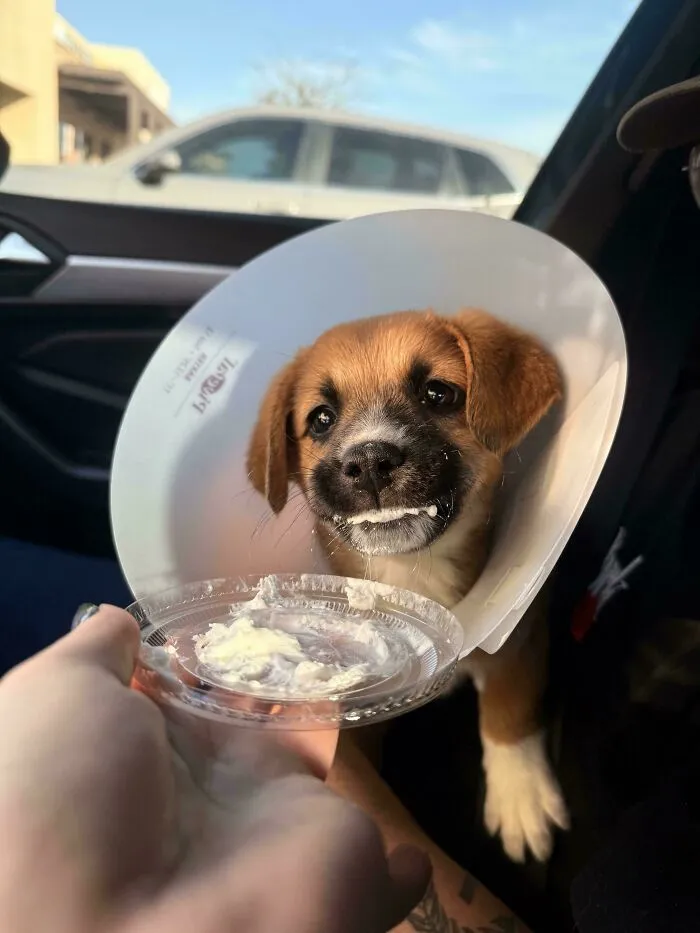 Just Adopted This Lil Sweetie, Her Name Is Siggy!
