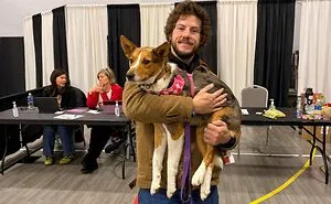 83 Wholesome Pics Of Adopted Rescue Pets Who Are Learning The Meaning Of "Home" (February Edition)