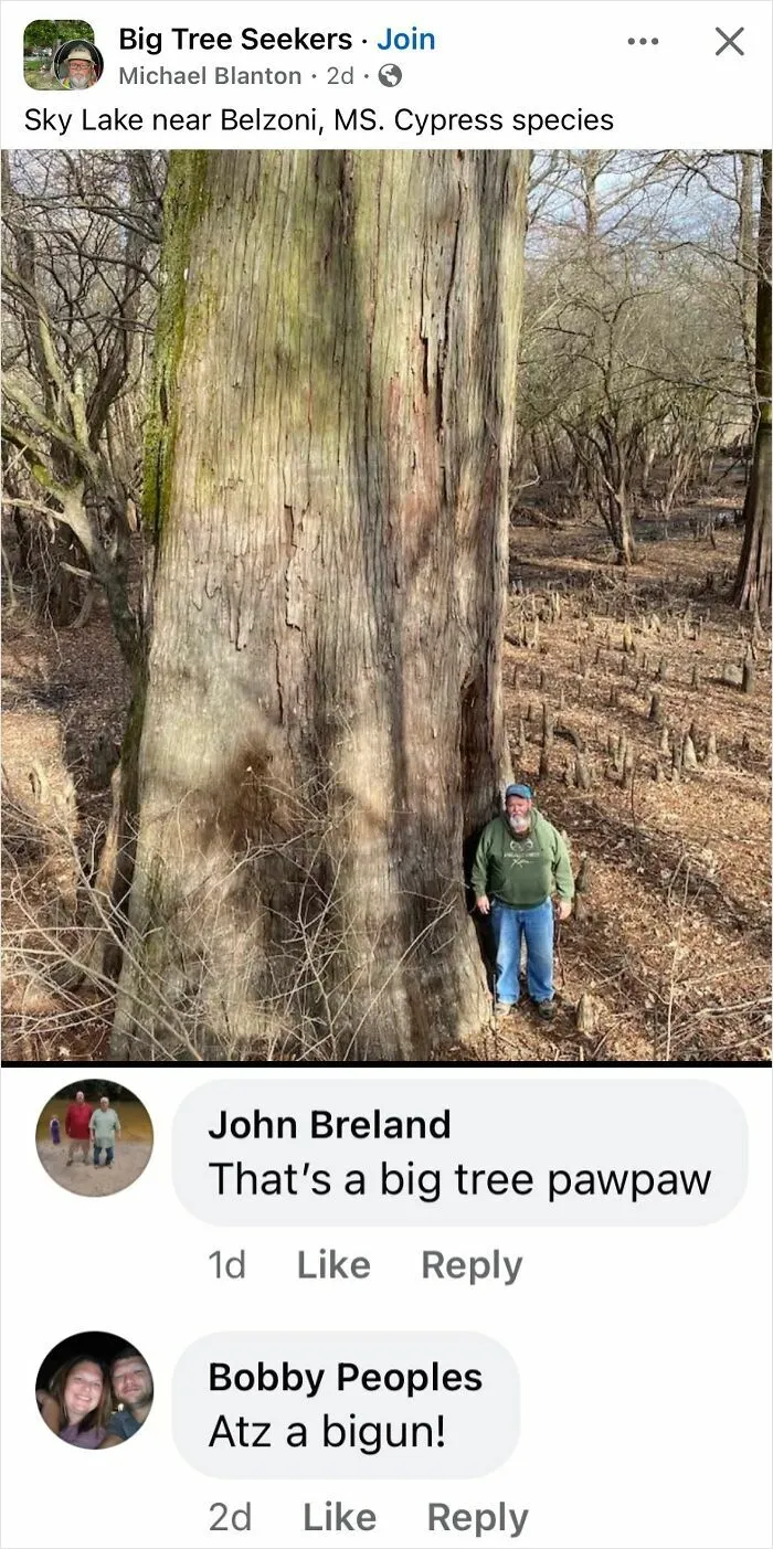 Big Tree Seekers