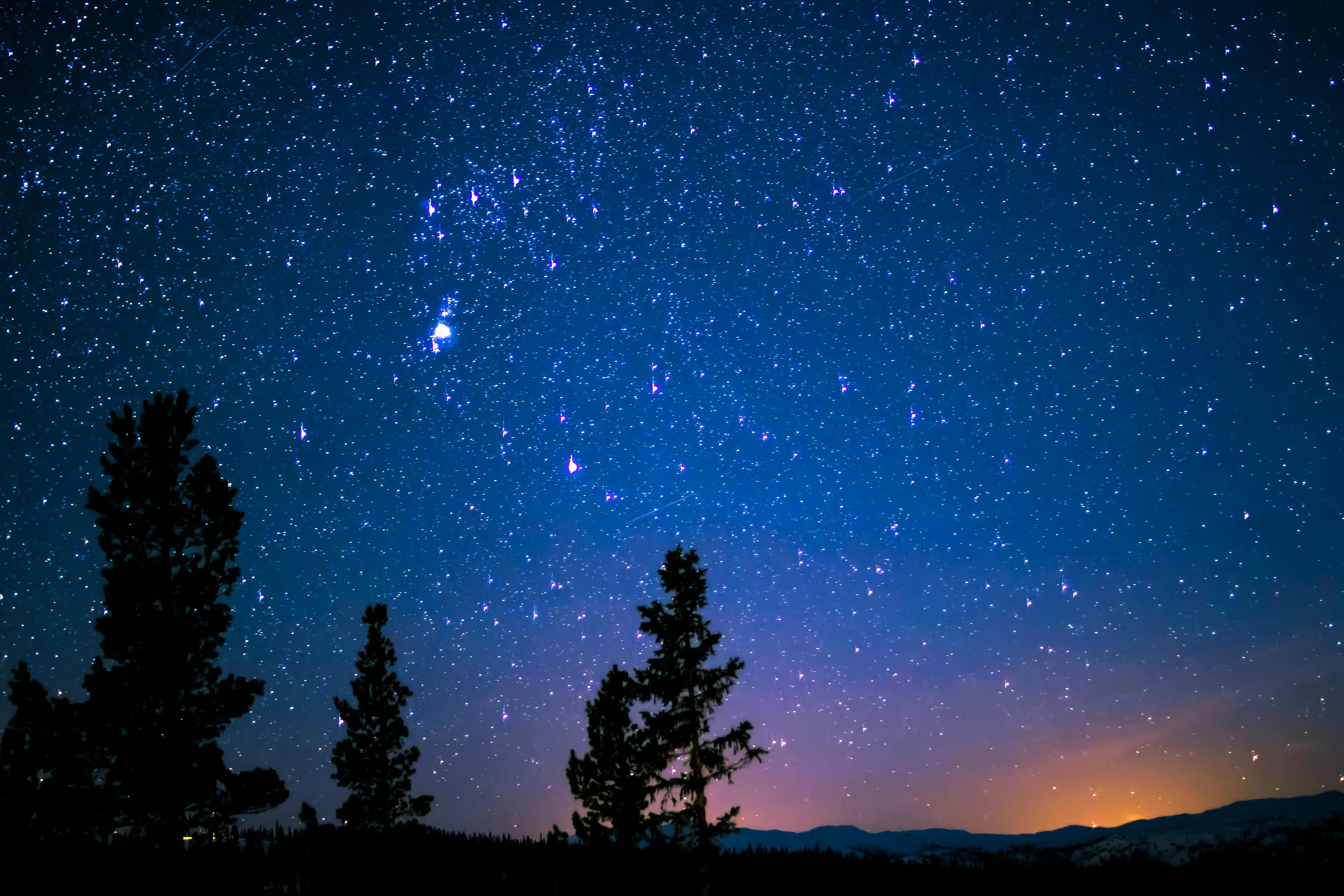 Night sky filled with stars above silhouetted trees, illustrating astronomy and differences in general knowledge quiz concepts.