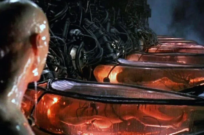 In The Matrix (1999), Neo Is Stunned Humans Are The Main Source Of Power For The Machines. This Is A Subtle Nod To The Machines Suspicious Lack Of Knowledge Of Wind, Hydro, Geothermal, Coal, And Nuclear Power, None Of Which Requires Sunlight To Function, And Produces Thousands Of Times More Power