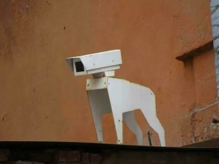 Perro guardián