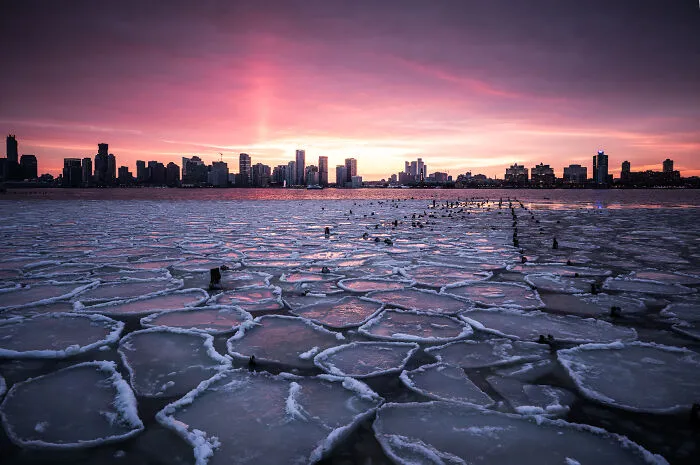 The Most Stunning Nature Photos Of 2025, According To The IPA Awards
