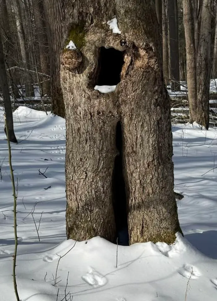 This Guy In The Woods At Ohiopyle, PA