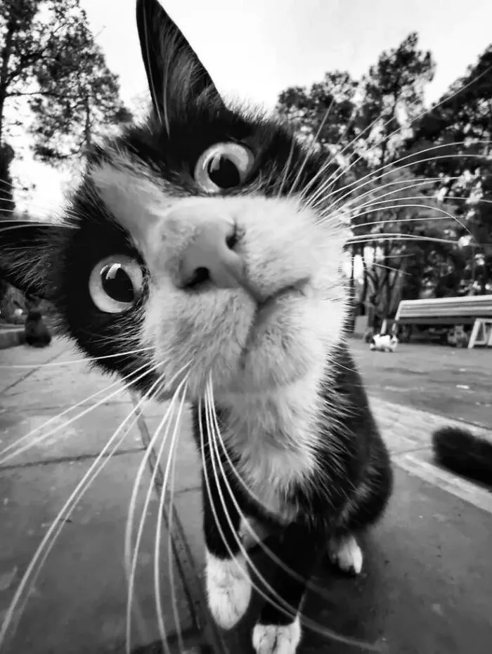 37 Fascinating Photos That Prove Timing Is Everything (New Pics)