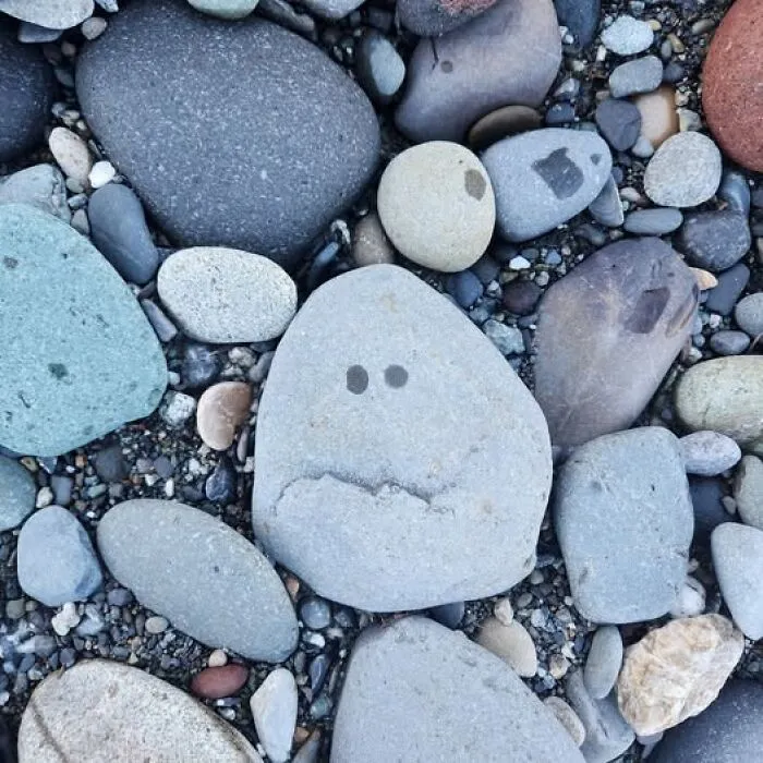 90 Hilarious Cases Of Pareidolia That People Couldn’t Pass Up (New Pics)