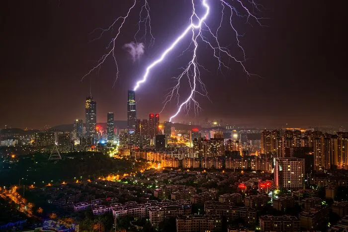 The Most Stunning Nature Photos Of 2025, According To The IPA Awards