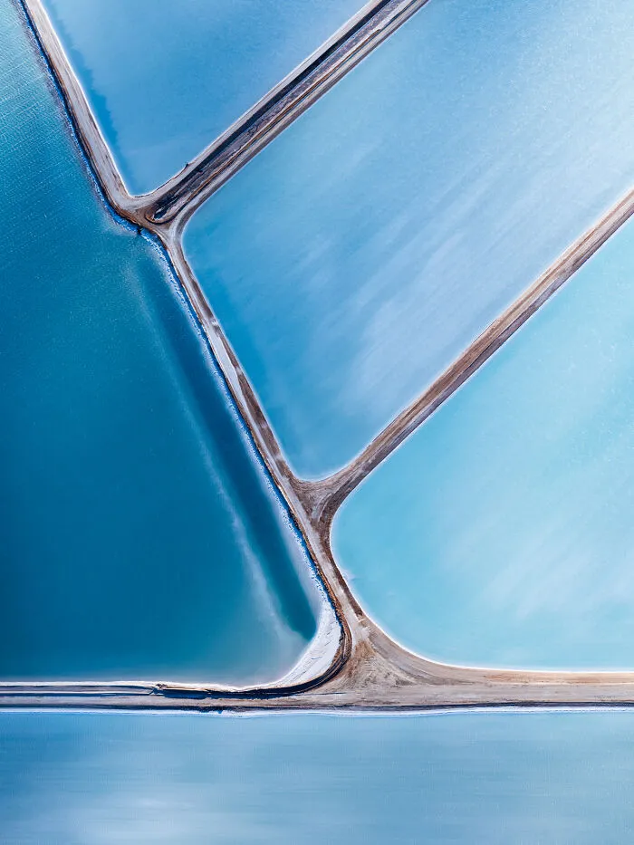 The Most Stunning Nature Photos Of 2025, According To The IPA Awards