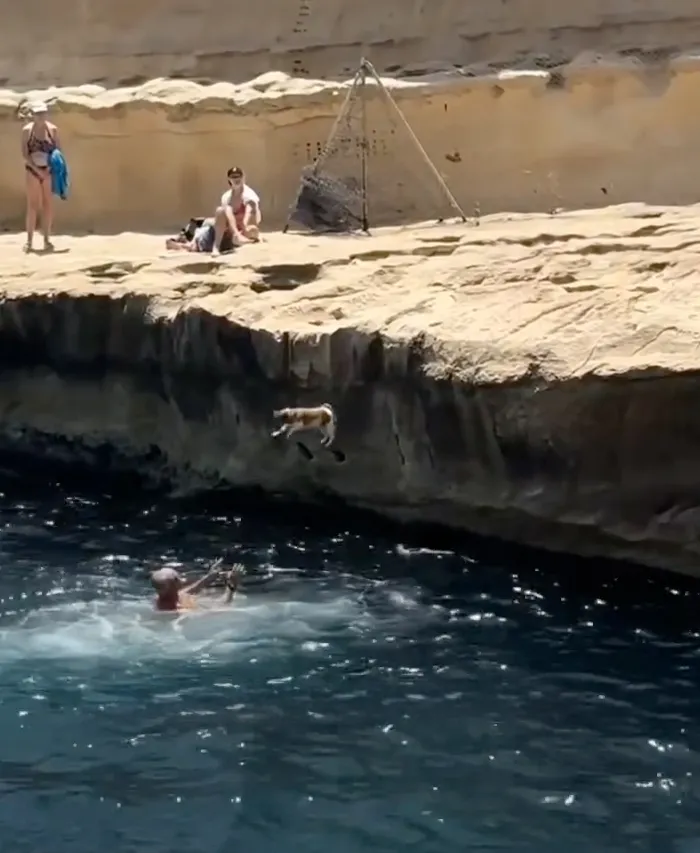Diving Tina