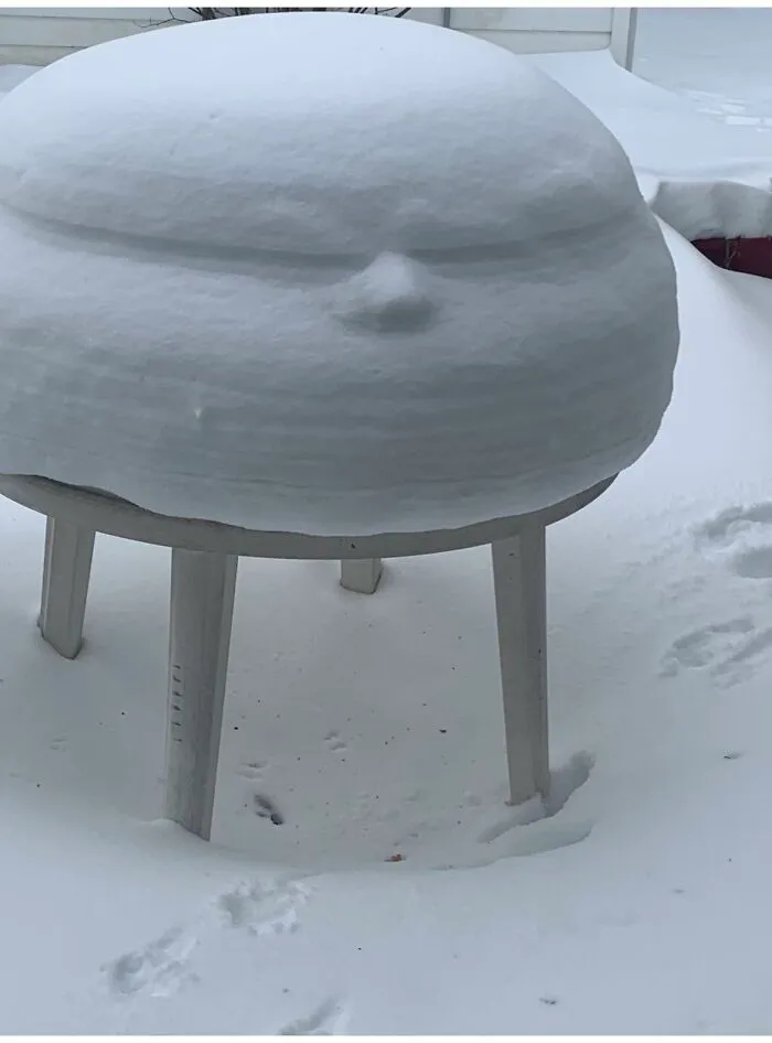 Even My Table Is Annoyed At All The Snow