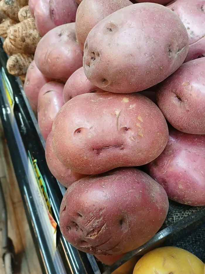 Philosophical Little Potato