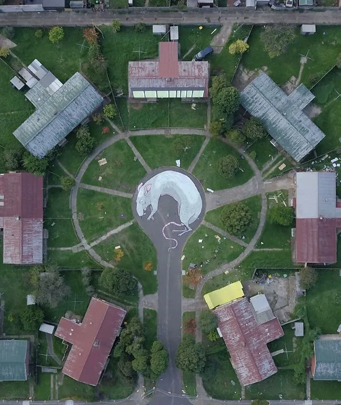 Obra de arte urbano impresionante con mural de rata visto desde el aire en un parque rodeado de casas.