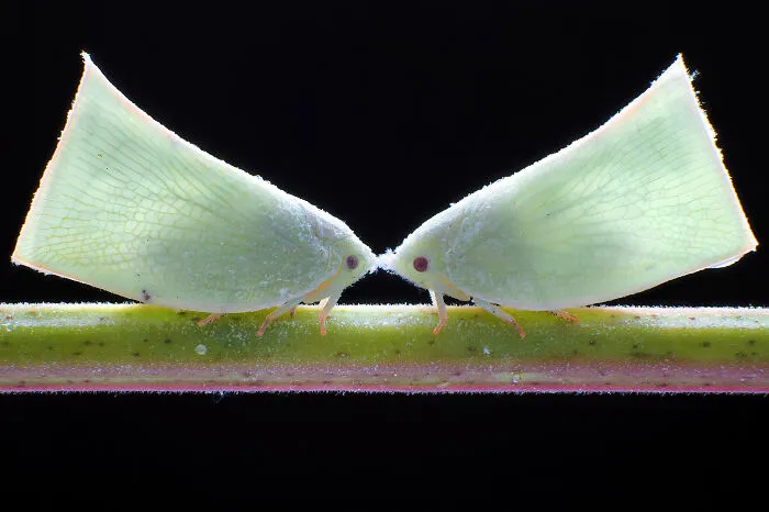 The Most Stunning Nature Photos Of 2025, According To The IPA Awards