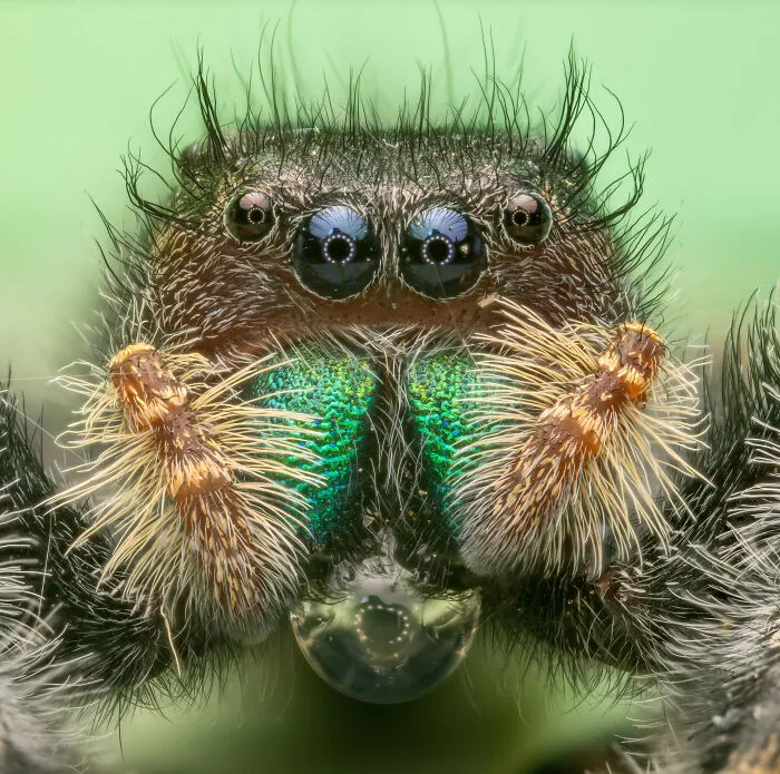 The Most Stunning Nature Photos Of 2025, According To The IPA Awards