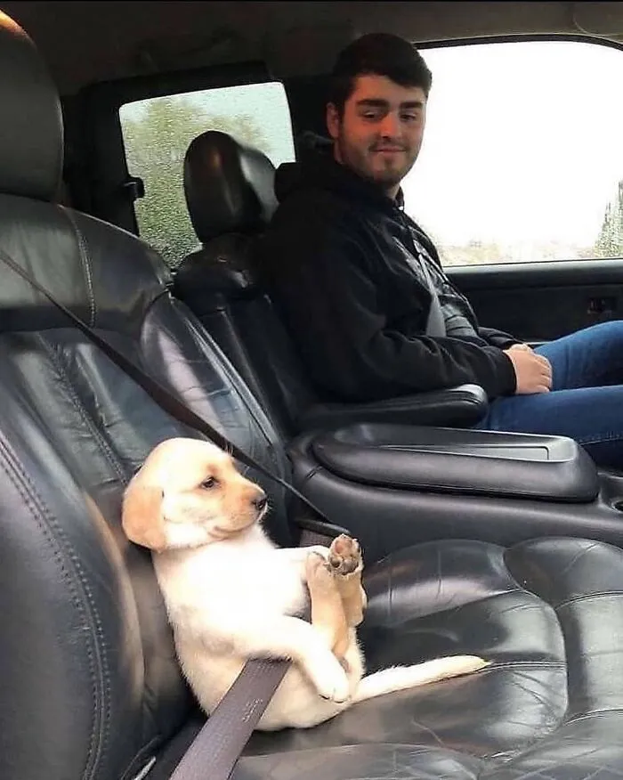These 49 Photos Of Men With Their Dogs Are Almost Too Wholesome For The Internet