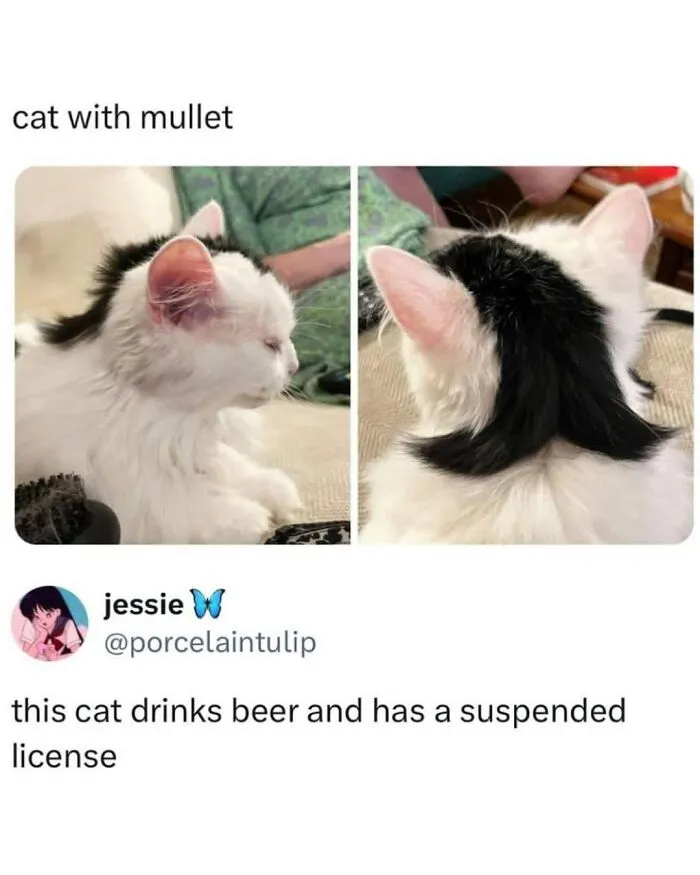 50 Funny Memes For Those Who Are In Need Of Their Daily Dose Of Laughter