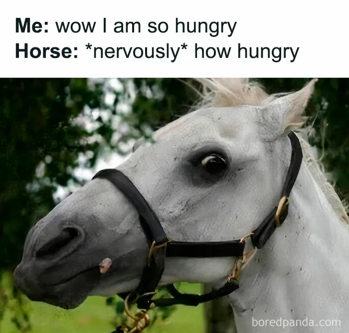 50 Funny Memes For Those Who Are In Need Of Their Daily Dose Of Laughter