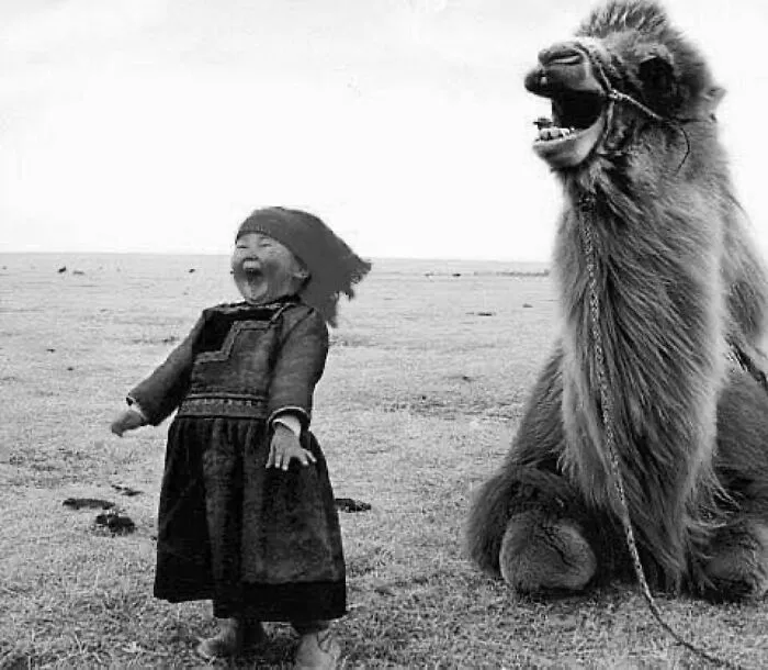 37 Fascinating Photos That Prove Timing Is Everything (New Pics)