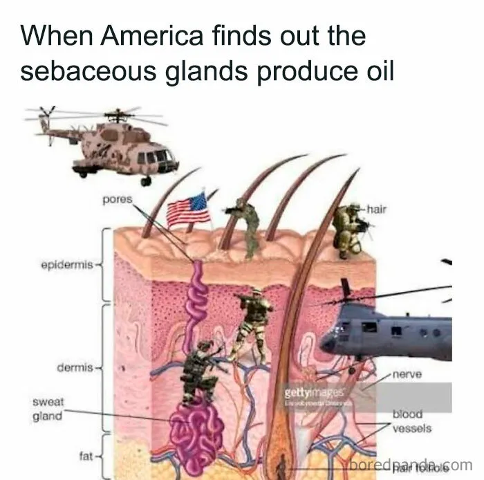 50 Memes That Range From Wild To "What Did I Just Read?"