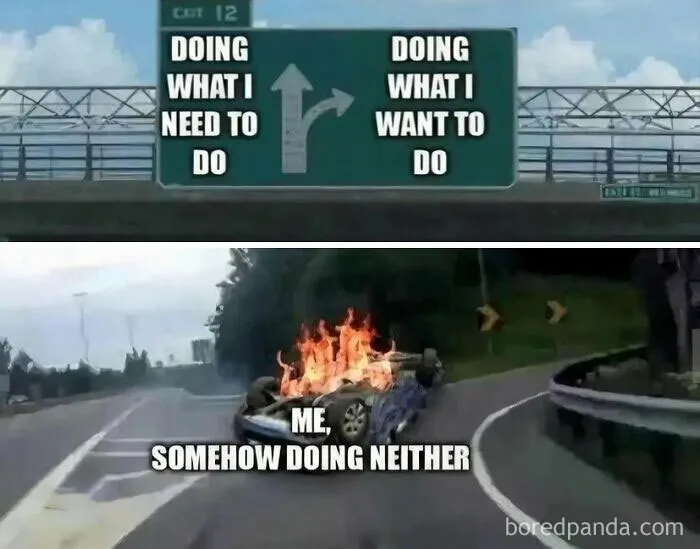 50 Memes That Range From Wild To "What Did I Just Read?"