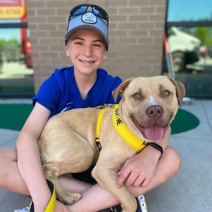 Teen With A Mission: 30 Dogs Whose Lives Were Changed By One Boy