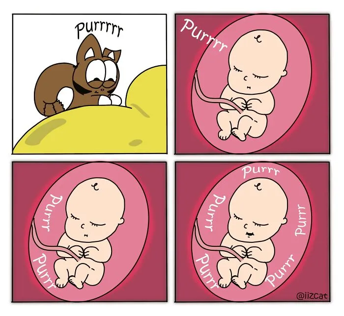 This Cartoonist Turns Everyday Cat Nonsense Into Hilarious Comics (29 New Comics)